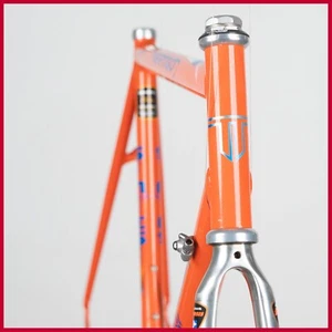 NOS SINTESI VERTIGO EASTON ELITE ALUMINIUM FRAME VINTAGE RACING BICYCLE BIKE OLD - Picture 1 of 16