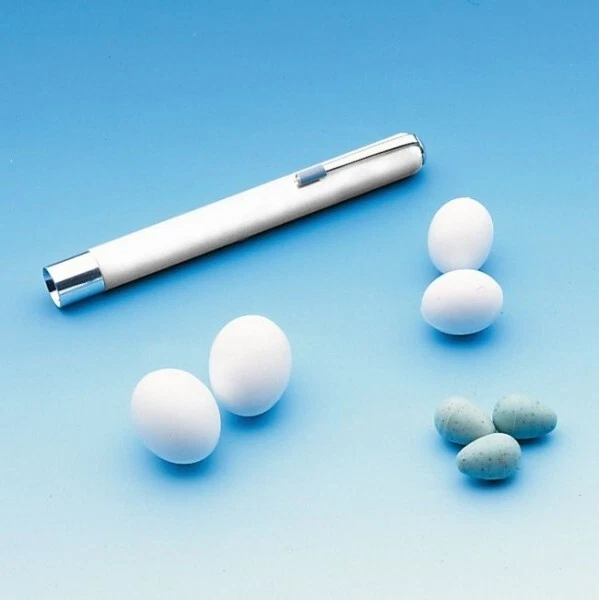 20x Nobby Nesteier Kanarien Mini 1,6cm Ersatz Eier Vögel Nest Zucht Vogelkäfig - Bild 1 von 1