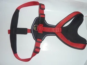 Hunter Hunde geschirr Neopren schwarz/rot Gr M-L (M/2) - Neu - Bild 1 von 4