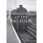 Arbeitspferde der Big Four: Steam's Final Fling (Amberl - Taschenbuch NEU John Eva