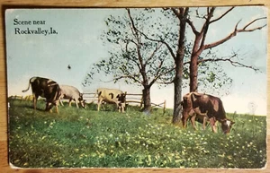Scene Near Rockvalley, Iowa IA Postcard PC 1912 - Picture 1 of 1
