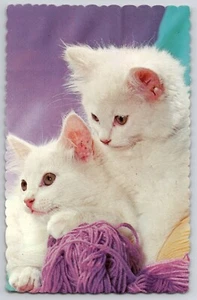 Zwei flauschige weiße Kätzchen Katze "Paar Süße" lila Garn Chrom Postkarte 1950er - Bild 1 von 2
