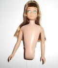 BARBIE ...VINTAGE SKIPPER DOLL 60'S BROWN HAIR TORSO...NEW