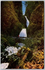 Postcard Wah-Kee-Nah Falls Columbia River Highway Oregon USA - Picture 1 of 2