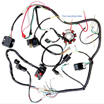 250cc 200 150cc QUAD ELECTRIC para Zongshen Lifan Ducar CDI BOBINA ARNÉS DE CABLES Foto 1 de 4