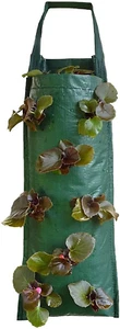 2024 Hanging Strawberry Planter, Upside-Down Patio Garden Tomato Planter Bags, H - Picture 1 of 9
