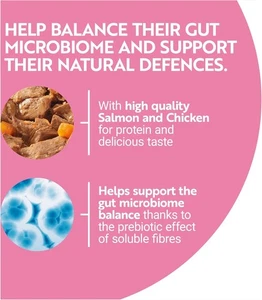 PURINA ONE Kitten Mini Fillets Salmon and Chicken Wet Cat Food 8X85G (Pack of 5) - Picture 1 of 8