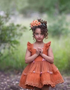 NWT Girls Size 14 Dollcake Golly Gosh in Terracotta. Never worn or tried on. - Picture 1 of 6