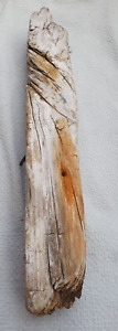 Treibholz Schwemmholz Driftwood Brett mit Rost Metall Regal  Basteln Deko 41 cm