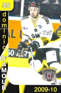 DOMINIC D'AMOUR, NOTTINGHAM PANTHERS, RARE 2009-10 TEAM-ISSUED CARD. - Picture 1 of 2