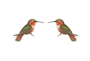 temporary tattoo - Set of two wrist size Hummingbird (approx. 1.5" each) - Picture 1 of 1
