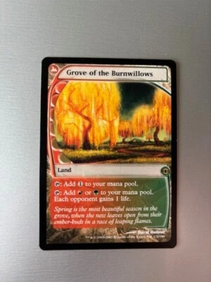 MTG Magic The Gathering Grove of the Burnwillows #176 Future Sight Regular - Image 1 of 4