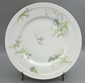 Plato(s) de cena Haviland - Lirio azul del valle/cinta Schleiger 472-2 - Imagen 1 de 5