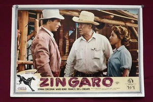 Zingaro Gypsy Colt FOTOBUSTA POSTER LOBBY CARD WESTERN Lee Van Cleef Lassie 1954 - Foto 1 di 1