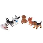 6 Pieces Pet Model Animal Figures, 1:12 Scale Dollhouse Miniatures Accessories