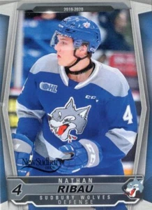 2019/20 Sudbury Wolves - NATHAN RIBAU - Bild 1 von 1