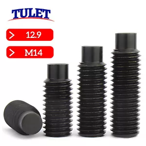 Tornillos roscados M14 DIN 915 45H conos hexagonales interiores acero M14x - Imagen 1 de 9