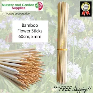 60cm Bamboo Flower Sticks (bamboo stakes) - Pack of 100 Sticks - trellis/support - Picture 1 of 3