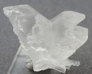 Gypsum "Fishtail Selenite" Crystal, Mexico- Mineral Specimen for Sale - Picture 1 of 5