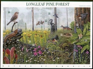 2002 LONGLEAF PINE FOREST 4th Nature of America MNH Sheet 10 x 34¢ STAMPS: #3611 - Picture 1 of 2