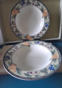 Mikasa Intaglio Garden Harvest CAC29 Large Rim Soup Pasta Bowl 9 3/8" Set of 2 - Picture 1 of 12