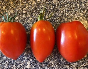 Amish Paste | Heirloom Tomato Seeds | Organic | Paste Tomatoes | Canning Sauce - Picture 1 of 5