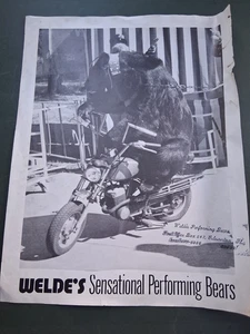 USA flugblatt Klischee WELDE´s SENSATIONAL PERFORMING BEARS circus cirque circo - Bild 1 von 2