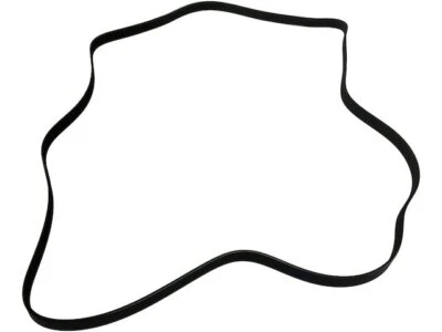 Cinturón multi costilla para Chevrolet Astro 1996-2005 74455MRDP 1997 2001 1998 1999 2000 Foto 1 de 2