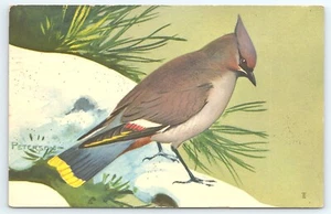 Postcard Bohemian Waxwing by Peterson National Wildlife Federation posted 1960 - Picture 1 of 3