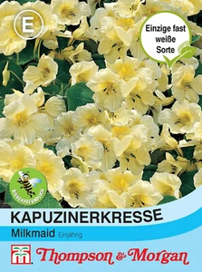 Kapuzinerkresse 'Milkmaid' - Tropaeolum majus, kletternd, Samen, 7861 - Bild 1 von 2