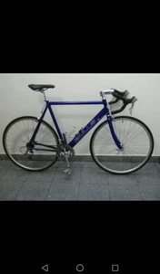 Rennrad Bulls 600 Ultegra - Bild 1 von 22