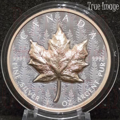 2025 Ultra-High Relief Silver Maple Leaf Canada UHR SML $20 1 oz. Proof Coin - Image 1 of 4