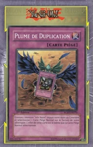 Plume De Duplication RGBT-FR070 Piège Normale:Copie Effet Piège Adverse - Foto 1 di 1