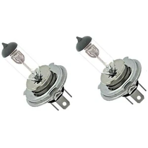 6 Volt Halogen Headlight Headlamp Clear Glass Light Lamp Bulbs 35/35W Pair H4 6V - Picture 1 of 1
