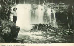 Postcard Alaska Ketchikan Creek waterfall Case C-1910 23-2602 - Picture 1 of 2