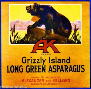 Suisun AK Grizzlybär Spargel Gemüsekiste Etikett Kunstdruck - Bild 1 von 1