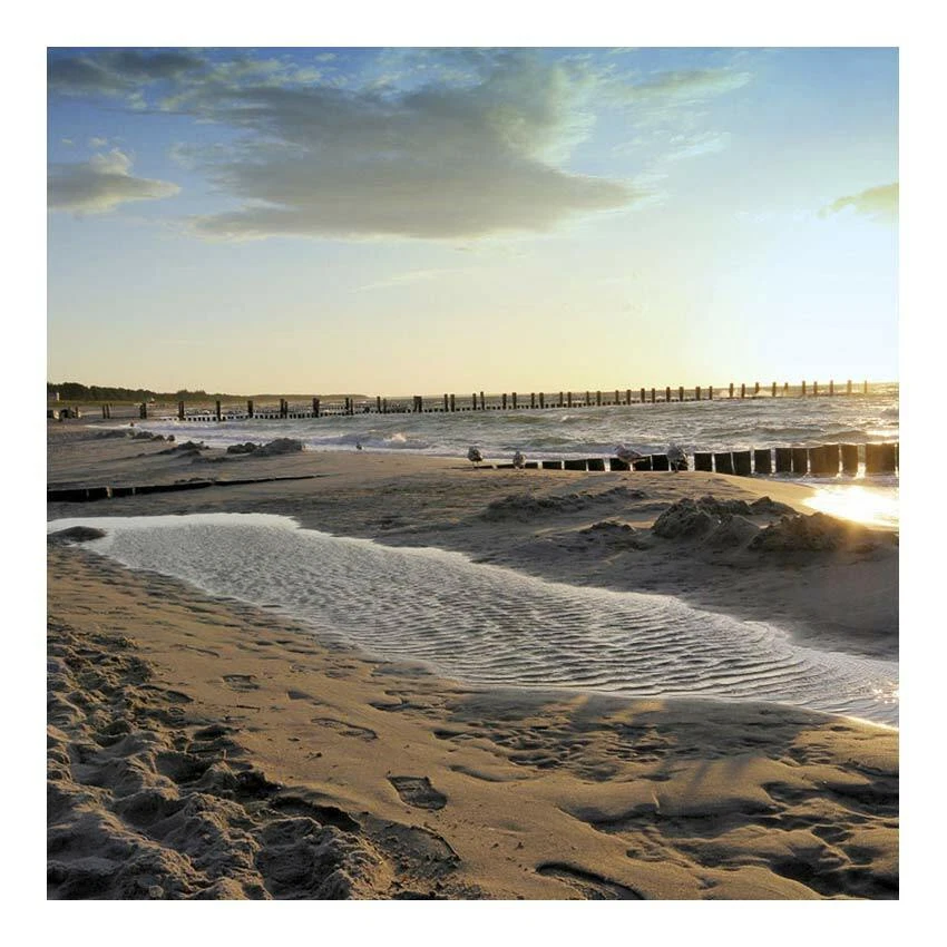 Magnetpinnwand Magnettafel Ostsee Meer Strand in verschiedenen Rahmen 40x40 cm - Bild 1 von 1