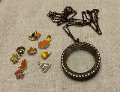 "Medallón Origami Búho Cristales Marrón con 10 Dijes Flotantes Otoño Acción de Gracias 18""" Foto 1 de 4