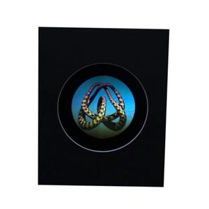 3D Mobius Loop Color Tuned Hologram Picture MATTED, Embossed Type - Picture 1 of 7