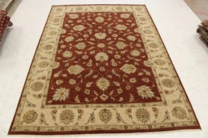 9'11" x 13'10" ft. Indian Vegetable Dye Hand Knotted Oriental Area Rug - Picture 1 of 7
