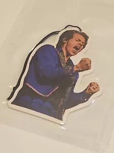 Harry Styles Car Air Freshener Rearview Mirror Hanger 1pc - Picture 1 of 2