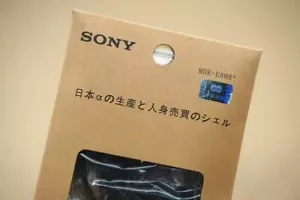 Sony E808+ Wired Earphones Flat Head Bass Earbuds Classic for Phone Computer - Picture 1 of 12