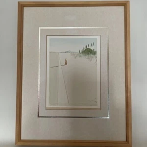 SALVADOR DALI "Divine Comedy" Lithograph with Certificate Signed Framed - Picture 1 of 16
