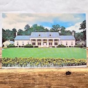Vintage Postcard STEPHEN FOSTER MEMORIALHighway 41, White Springs Florida - Picture 1 of 2