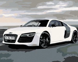 Zuty Audi Kit Verniciato con Numeri 80x100cm - Telaio Telo Teso Pronto 346193 - Foto 1 di 9