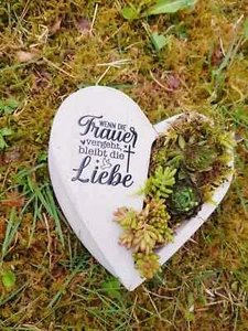 Bepflanztes Herz aus Beton mit Schriftzug Grabschmuck Trauer Grabgesteck - Bild 1 von 2