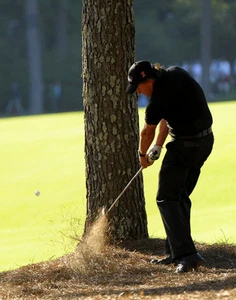 Phil Mickelson Masters Tree Shot Canvas Print 16 x 20 - Picture 1 of 4