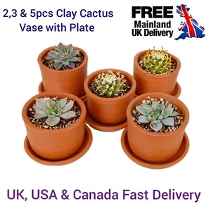 Home Table Décor 100% Handmade Medium CLAY CACTUS Indoor Flower Vase with Plate - Picture 1 of 20