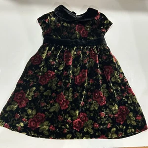 Vintage Gymboree Holiday Traditions Plush Floral Velour Dress 12-18 M - Picture 1 of 11
