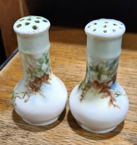 Vintage Hand Painted Floral Porcelain Salt/Pepper Shakers - Picture 1 of 4
